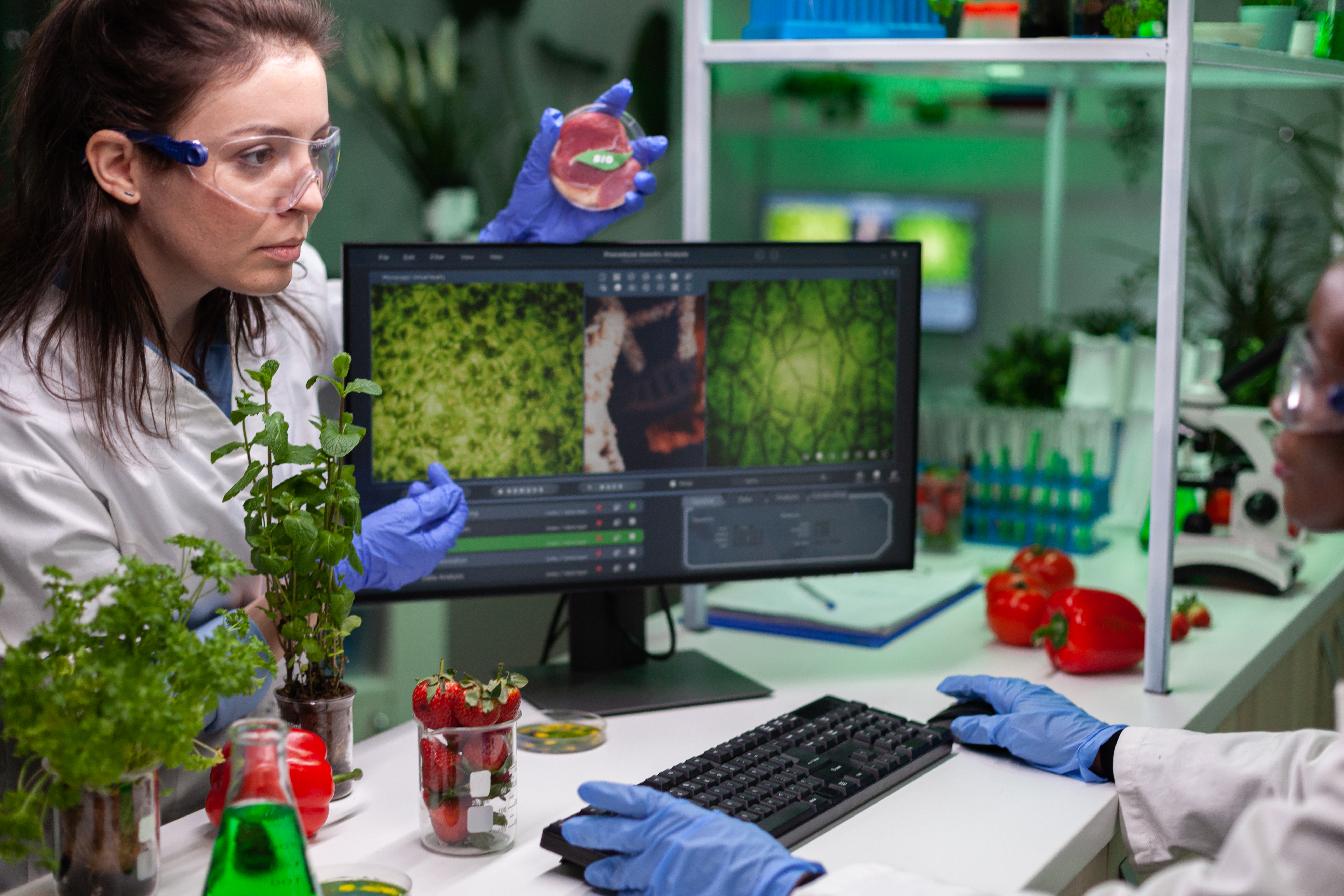 Agricultural Bio Technology