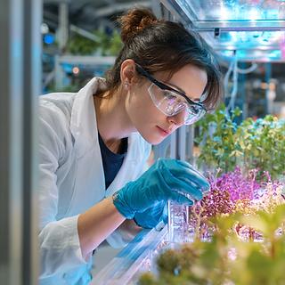 Agriculture Biotechnology